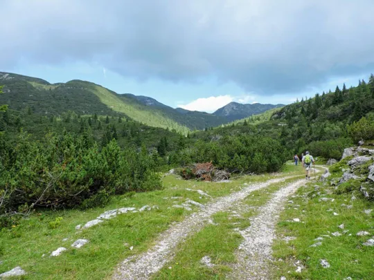 Strada per Casara Trentin