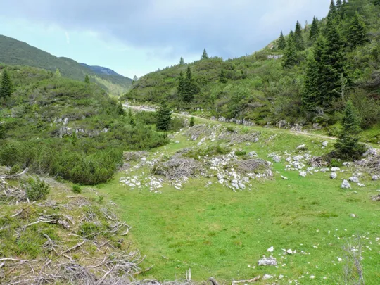 Strada per Casara Trentin
