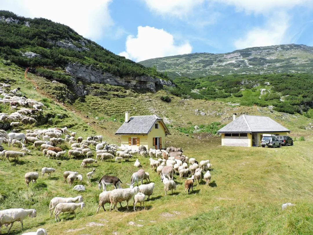 Casara Trentin - Portule Pastorile