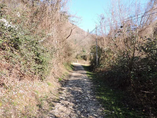 Dettaglio del sentiero