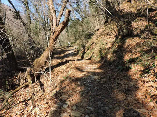 Dettaglio del sentiero