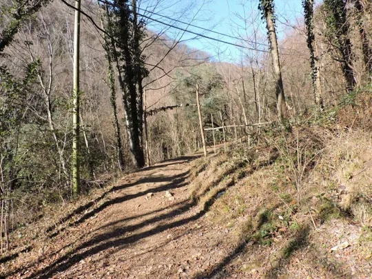 Dettaglio del sentiero