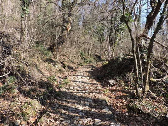 Sentiero in ciotolato verso Valrovina