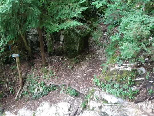 Ingresso dell'osservatorio