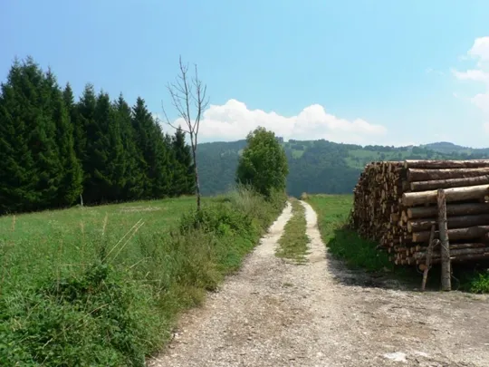 Cascate di Rotzo - strada di accesso
