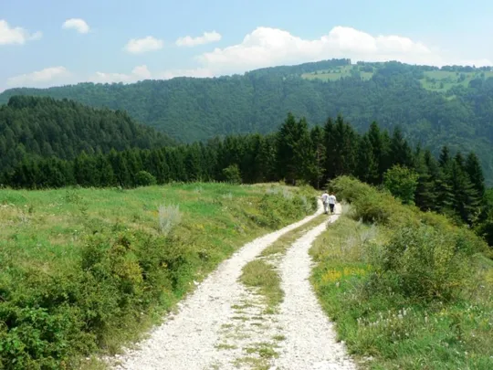 Cascate di Rotzo - strada di accesso