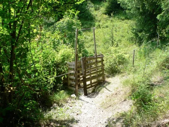 Cascate di Rotzo - il sentiero
