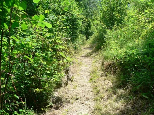 Cascate di Rotzo - il sentiero