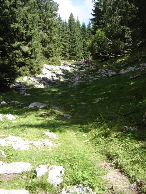 Monte Castelgomberto - sentiero