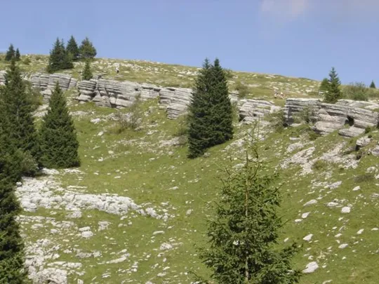 Monte Castelgomberto - Selletta Stringa
