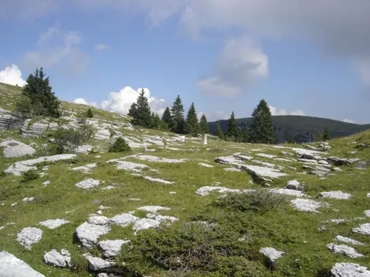 Monte Castelgomberto - Selletta Stringa