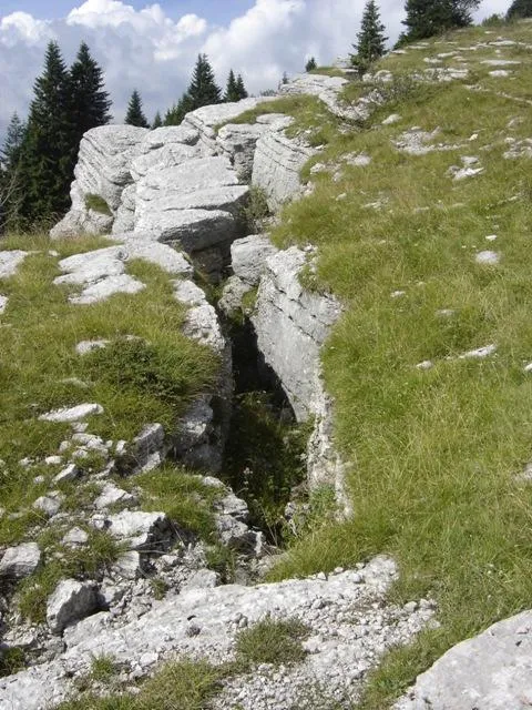 Monte Castelgomberto - Trincee