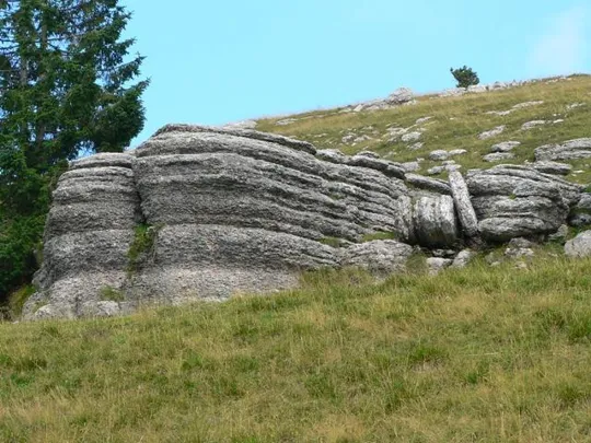 Monte Castelgomberto - sentiero
