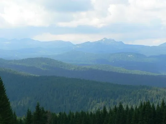 Monte Castelgomberto - sentiero