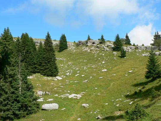 Monte Castelgomberto - Selletta Stringa