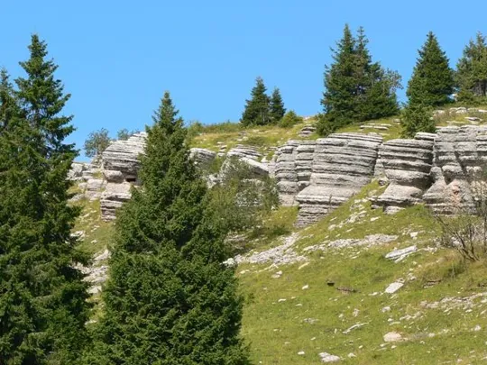 Monte Castelgomberto - Selletta Stringa