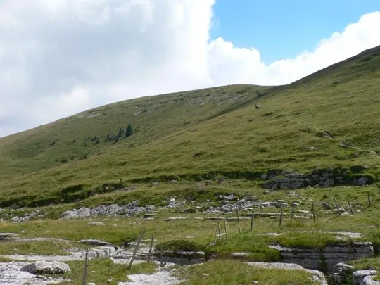Monte Castelgomberto - Selletta Stringa