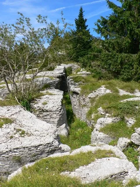 Monte Castelgomberto - Trincee