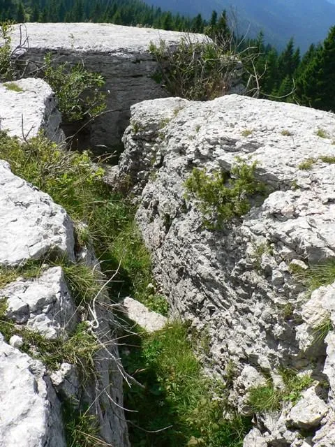 Monte Castelgomberto - Trincee