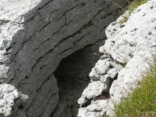 Monte Castelgomberto - Trincee