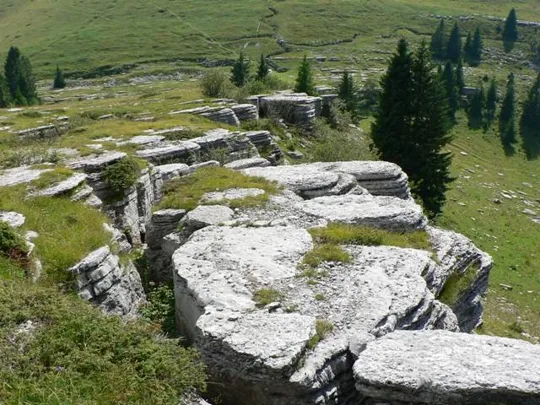 Monte Castelgomberto - Trincee