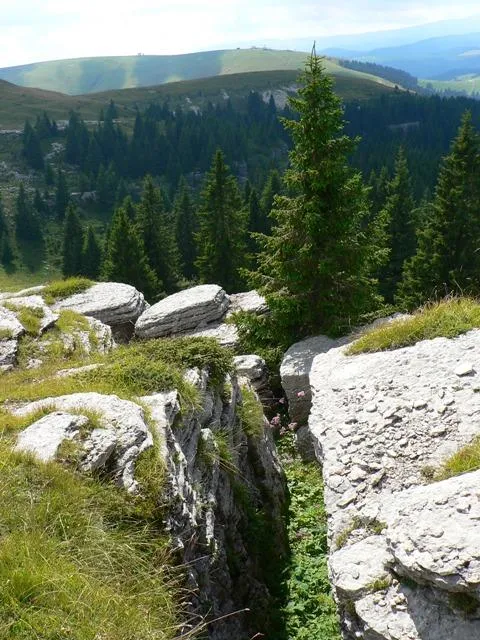 Monte Castelgomberto - Trincee