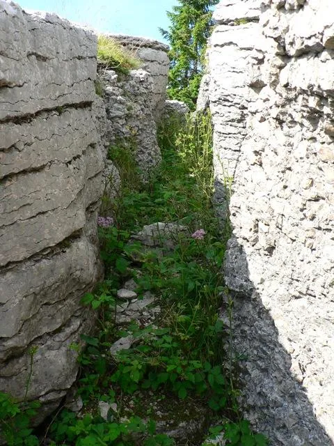 Monte Castelgomberto - Trincee