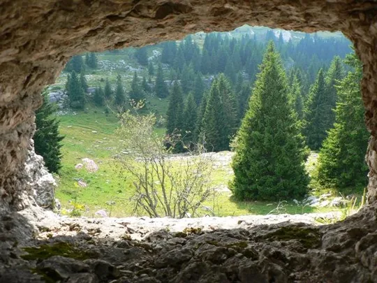 Monte Castelgomberto - Trincee