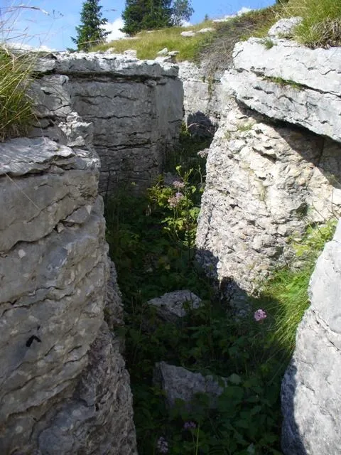 Monte Castelgomberto - Trincee
