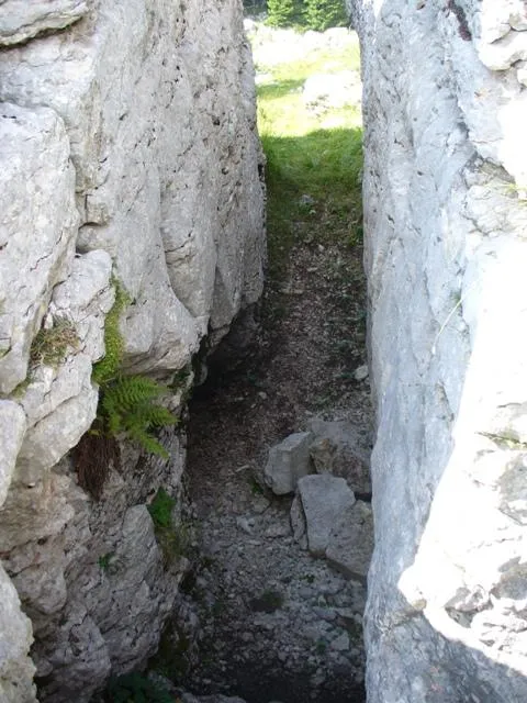 Monte Castelgomberto - Trincee