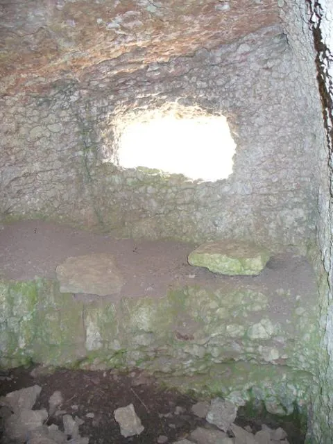 Monte Castelgomberto - Trincee