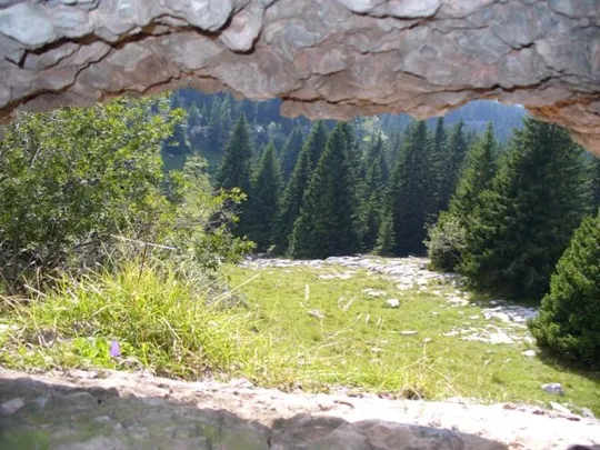 Monte Castelgomberto - Trincee