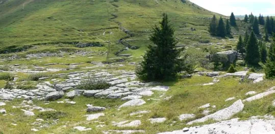 Monte Castelgomberto - Monte Fior