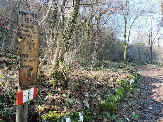 Castelli di Giulietta e Romeo - sentiero