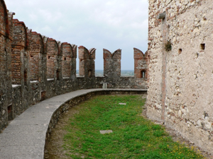 Castello di Soave - Merli