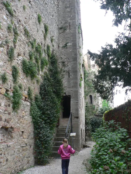 Castello Scaligero di Torri del Benaco