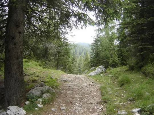 Castelloni di S.Marco - Sentiero