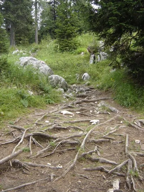 Castelloni di S.Marco - particolari del sentiero