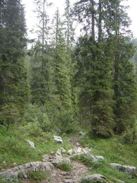 Castelloni di S.Marco - Sentiero