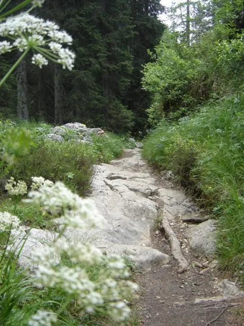 Castelloni di S.Marco - Sentiero