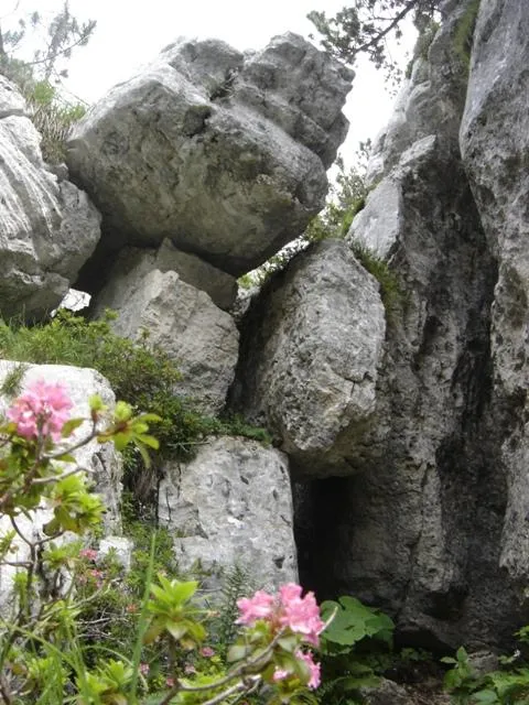 Castelloni di S.Marco - Particolari