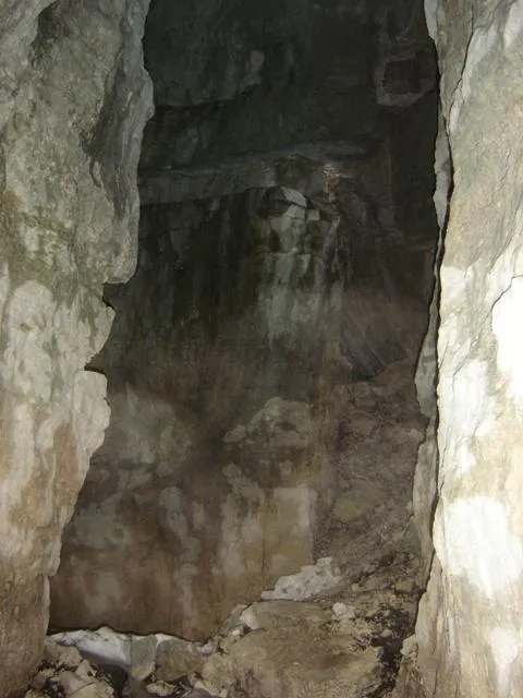 Castelloni di S.Marco - Cantina