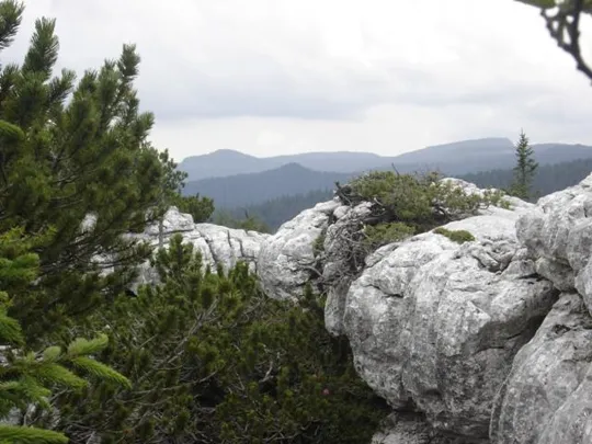 Castelloni di S.Marco - rocce