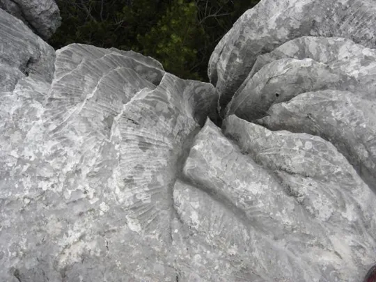 Castelloni di S.Marco - Particolari delle rocce