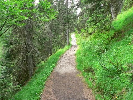 Castelloni di S.Marco - Sentiero