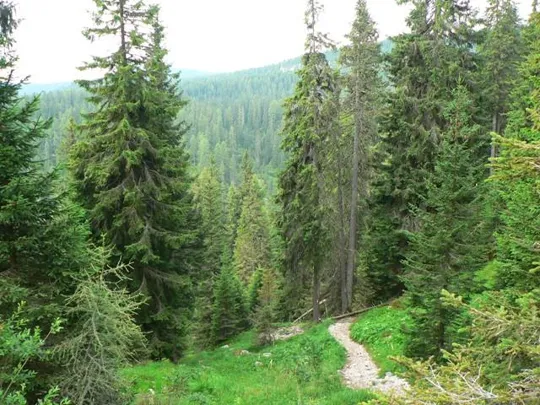 Castelloni di S.Marco - Sentiero