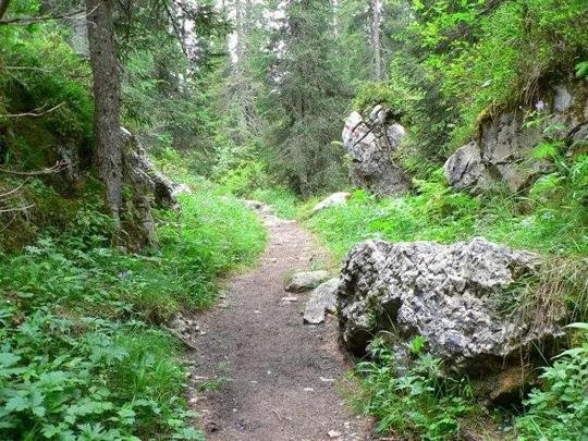 Castelloni di S.Marco - Sentiero