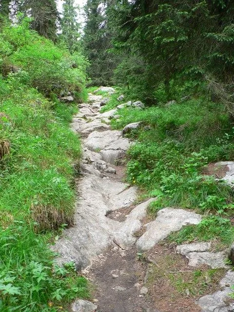 Castelloni di S.Marco - particolari del sentiero