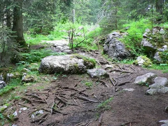Castelloni di S.Marco - Sentiero