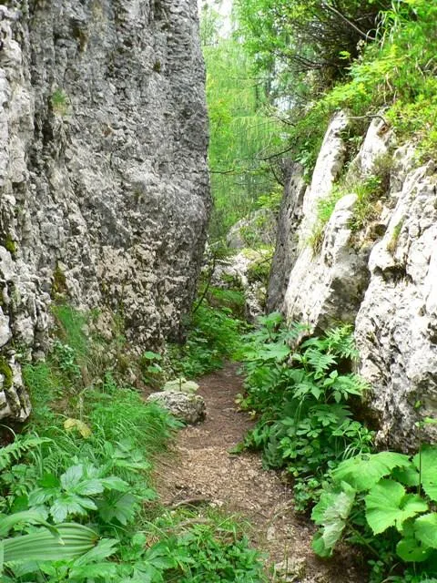 Castelloni San Marco - Labirinto